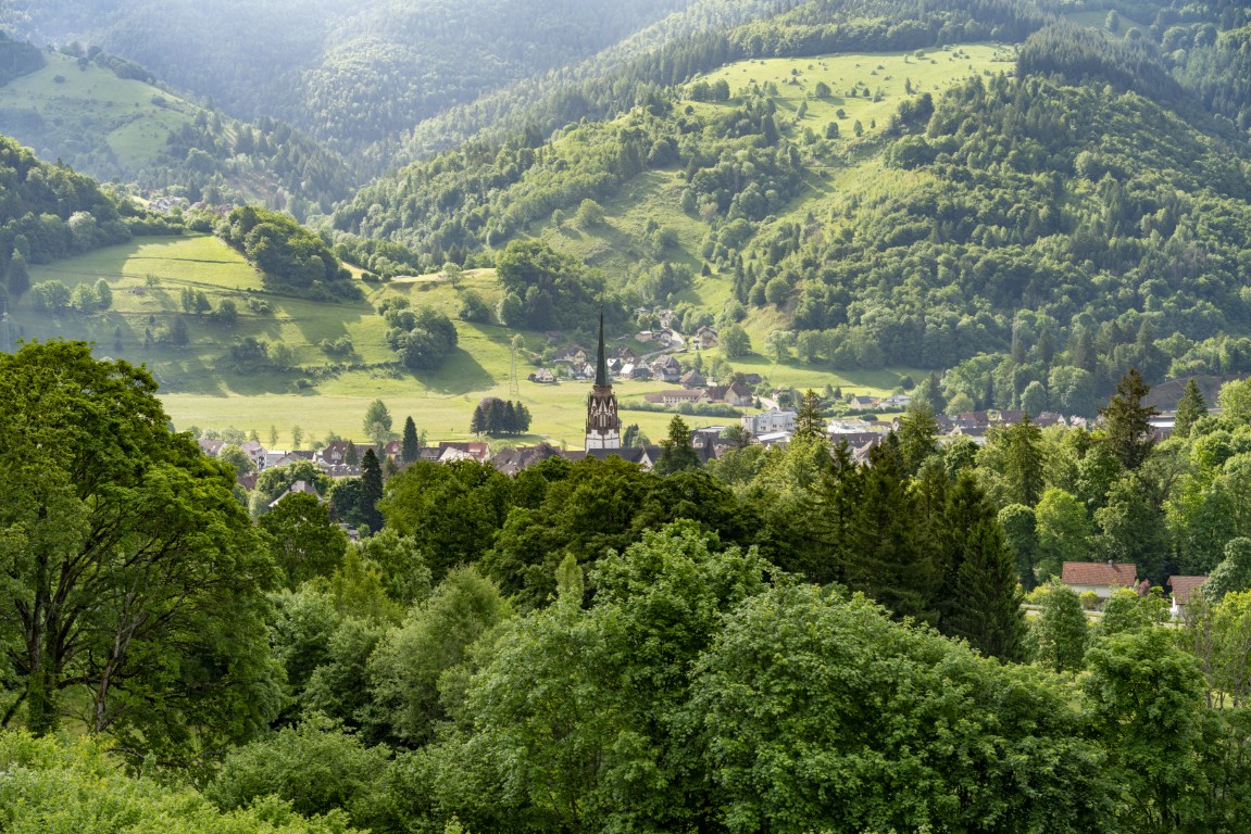 Wheels on tour goed black Forest